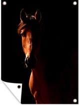 Muurdecoratie buiten Paard - Licht - Portret - 120x160 cm - Tuindoek - Buitenposter
