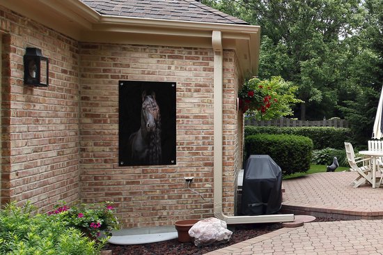 Portrait d'un cheval frison sur fond noir affiche de jardin toile en vrac 60x90 cm - Toile de jardin / Toile d'extérieur / Peintures d'extérieur (décoration de jardin)