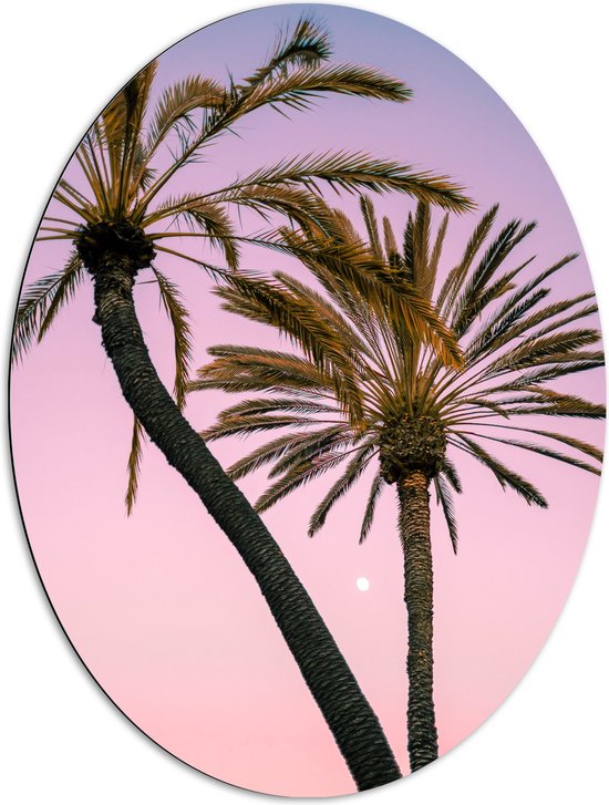 WallClassics - Dibond Ovaal - Twee Palmbomen bij Roze-Blauwe Lucht - 72x96 cm Foto op Ovaal (Met Ophangsysteem)