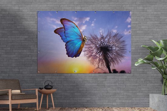 Décoration murale Papillon - Coucher de soleil - Pissenlit - Blauw - 180x120 cm - Poster jardin