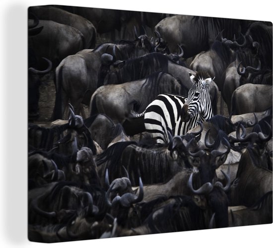 Canvas Schilderij Zebra - Buffels - Bruin - 40x30 cm - Wanddecoratie