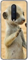 Geschikt voor OnePlus 8 hoesje - Stokstaartjes - Bruin - Dier - Siliconen Telefoonhoesje