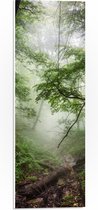 WallClassics - PVC Schuimplaat- Mist tussen Groene Bomen - 20x60 cm Foto op PVC Schuimplaat