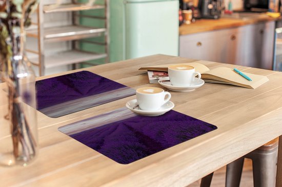 Set de Table - Napperons de Table en Plastique - Lavande - Violet - Fleurs - Nature - 45x30 cm - 6 pièces - Résistant à la Chaleur - Antidérapant - Coussinet - Amovible