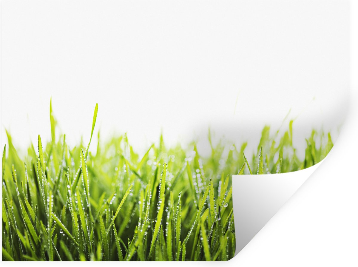 Muurstickers - Sticker Folie - Helder groene gras bedekt met vroege dauw - 120x90 cm - Pla
