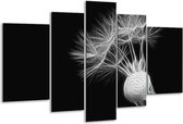 Peinture sur verre Fleur | Noir et blanc | 170x100cm 5 Liège | Tirage photo sur verre |  F006535