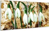 Peinture sur verre fleur | Vert, marron, blanc | 160x80cm 4 Liège | Tirage photo sur verre |  F003349