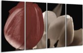 Peinture sur verre tulipe | Marron, gris, blanc | 160x80cm 4 Liège | Tirage photo sur verre |  F002508