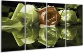 GroepArt - Glasschilderij - Roos - Groen, Bruin, Wit - 160x80cm 4Luik - Foto Op Glas - Geen Acrylglas Schilderij - 6000+ Glasschilderijen Collectie - Wanddecoratie