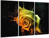 Peinture sur toile Rose | Orange, jaune, vert | 120x80cm 3 Liège