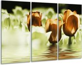 GroepArt - Schilderij -  Tulpen - Bruin, Groen - 120x80cm 3Luik - 6000+ Schilderijen 0p Canvas Art Collectie