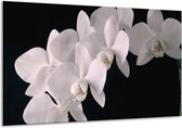 120 cm x 70 cm