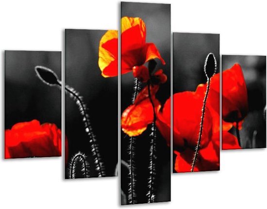 Peinture sur verre de pavot | Noir, rouge, blanc | 100x70cm 5Liège | Tirage photo sur verre |  F002432