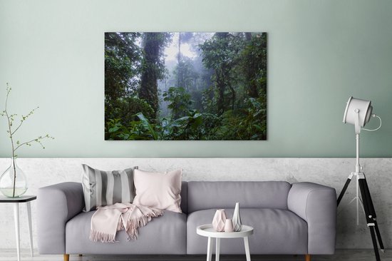 Canvas schilderij 140x90 cm - Wanddecoratie Tropische bomen in het Bosque Nuboso Monteverde - Muurdecoratie woonkamer - Slaapkamer decoratie - Kamer accessoires - Schilderijen