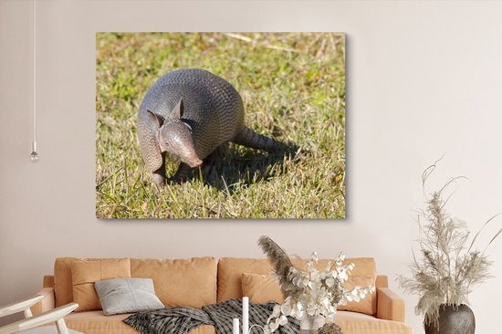 Toile de tatou dans l'herbe 2cm 160x120 cm - Tirage photo sur toile (Décoration murale salon / chambre) / Animaux sauvages Peintures sur toile XXL / Groot format!