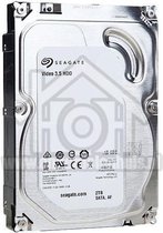 Seagate Harddisk Video 3.5 HDD 2TB SATA 64MB 3.5 inch 303800324