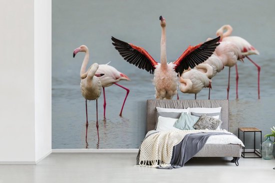 Flamingo qui s'étend 330x220 cm