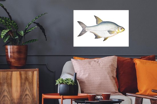 Stickers Stickers muraux - Poisson - Kolblei - Réalisme - 60x40 cm - Feuille adhésive