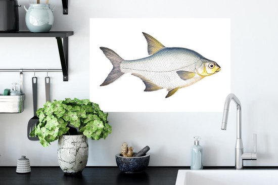 Stickers Stickers muraux - Poisson - Kolblei - Réalisme - 60x40 cm - Feuille adhésive