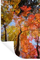 Stickers muraux - Film autocollant - Érable rouge pendant l'automne au Japon - 40x60 cm - Film adhésif - Stickers muraux Chambre d'enfant - Papier peint autocollant - Papier peint autocollant - Film autocollant