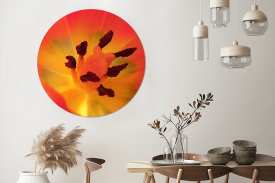 Un gros plan d'une tulp orange avec le pistil Wall cercle aluminium ⌀ 140 cm