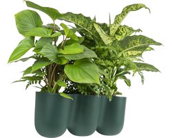 QUVIO Bloempot voor aan de wand - Bloempotten voor binnen - Bloempotten voor buiten - Bloempotten - Bloempot buiten - Bloempot binnen - Bloempotten kunststof - Plantenbak - Moestuinbak - Balkonbak - 15 x 43,5 cm - Donkergroen