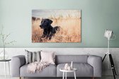 Canvas schilderij 180x120 cm - Wanddecoratie Een Labrador Retriever ligt in het hoge gras - Muurdecoratie woonkamer - Slaapkamer decoratie - Kamer accessoires - Schilderijen