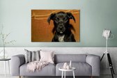 Staffordshire Bull Terrier noir sur fond orange Toile 180x120 cm - Tirage photo sur Toile (Décoration murale salon / chambre) / Toiles Animaux domestiques Peintures XXL / Groot format!