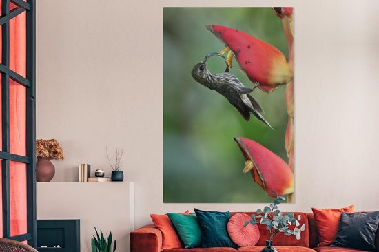 Le colibri à bec crochu à la fleur d'heliconia pogonantha au Costa Rica Toile 120x180 cm - Tirage photo sur Toile (Décoration murale salon / chambre) XXL / Groot format!