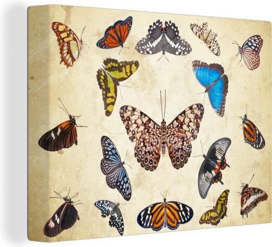 Canvas Schilderij Botanische print vlinders - Wanddecoratie