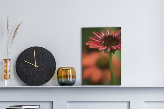 Fleur d'échinacée rouge en fleurs 20x30 cm - petit - Tirage photo sur toile (Décoration murale salon / chambre)