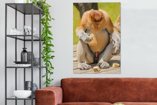 Un singe proboscis regardant vers le bas 90x140 cm - Tirage photo sur toile (Décoration murale salon / chambre)