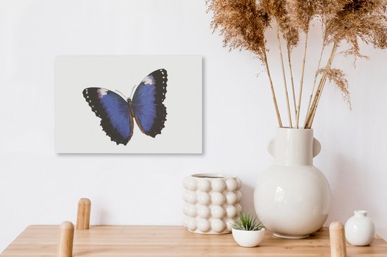 Illustration d'un papillon bleu avec bords noirs 30x20 cm - petit - Tirage photo sur toile (Décoration murale salon / chambre)