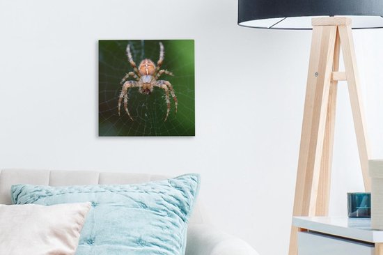 Tableau sur toile Portrait d'une araignée - 20x20 cm - Décoration murale