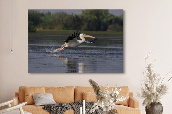Pelican en Roumanie 180x120 cm - Tirage photo sur Toile (Décoration murale salon / chambre) / Animaux sauvages Peintures sur toile XXL / Groot format!