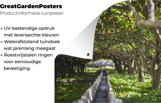 Affiche jardin - Toile jardin - Posters de jardin extérieur - Orangeraie en Espagne - 120x80 cm - Jardin