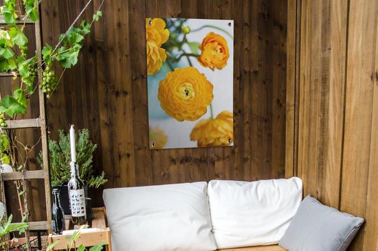 Posters de jardin Fleurs - Extérieur - Oranje - 60x90 cm
