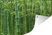 Muurdecoratie Bamboebos - 180x120 cm - Tuinposter - Tuindoek - Buitenposter