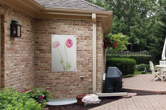 Tuinposter 60x90 cm - Tuindecoratie Roze boterbloemen met een witte achtergrond - Poster voor in de tuin - Buiten decoratie - Schutting tuinschilderij - Tuindoek muurdecoratie - Wanddecoratie balkondoek