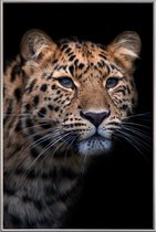 JUNIQE - Poster met kunststof lijst Waiting to Pounce -40x60 /Geel &