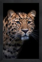 JUNIQE - Poster met houten lijst Waiting to Pounce -13x18 /Geel &