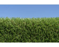 Kunstgras 2 x 8 meter - 20mm - Nederlandse Productie - Uitgeroepen zachtste Grastapijt | Waterdoorlatend | Tuin | Kind | Dier