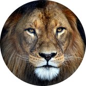 Leeuw koning jungle - Foto op Behangcirkel - ⌀ 100 cm