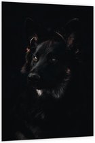 Dibond - Hond - 100x150cm Foto op Aluminium (Wanddecoratie van metaal)