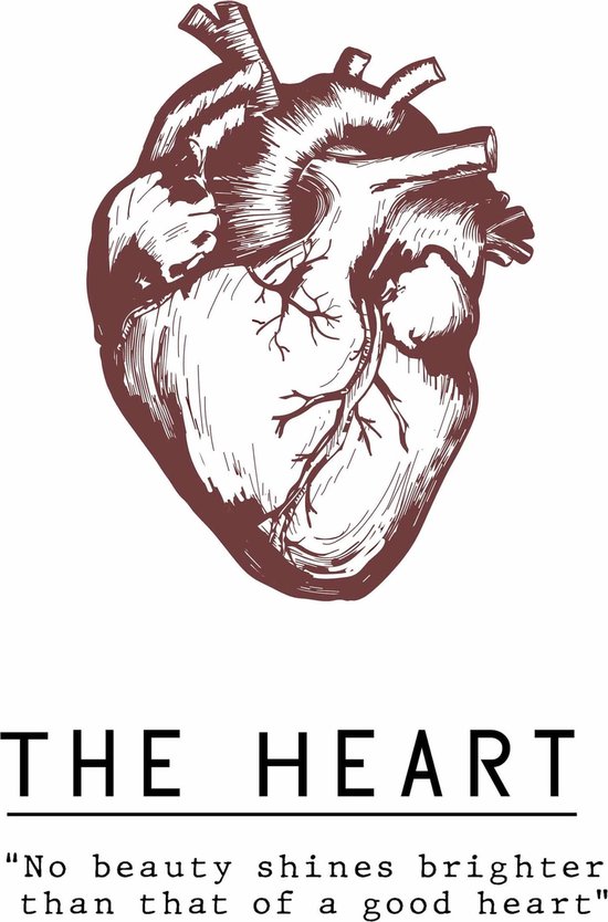 Poster 'The Heart'' - Anatomie Hart - Bordeaux Rood - Valentijn - Liefde - Large 70x50