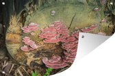 Tuindecoratie Rode paddenstoelen - 60x40 cm - Tuinposter - Tuindoek - Buitenposter