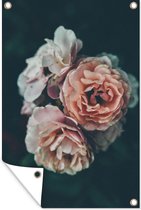 Gros plan d'un bouquet de roses roses 120x180 cm XXL / Groot format!