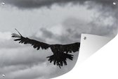 Tuindecoratie Zwart-wit foto van een vliegende oorgier - 60x40 cm - Tuinposter - Tuindoek - Buitenposter