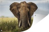 Tuinposter - Tuindoek - Tuinposters buiten - Afrikaanse olifant vooraanzicht - 120x80 cm - Tuin