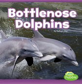Mammals In the Wild - Bottlenose Dolphins